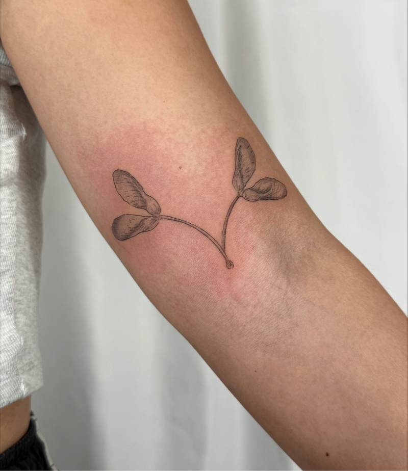Estudio de tatuagem